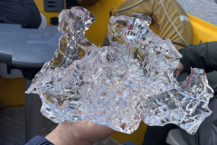 IMG_1898